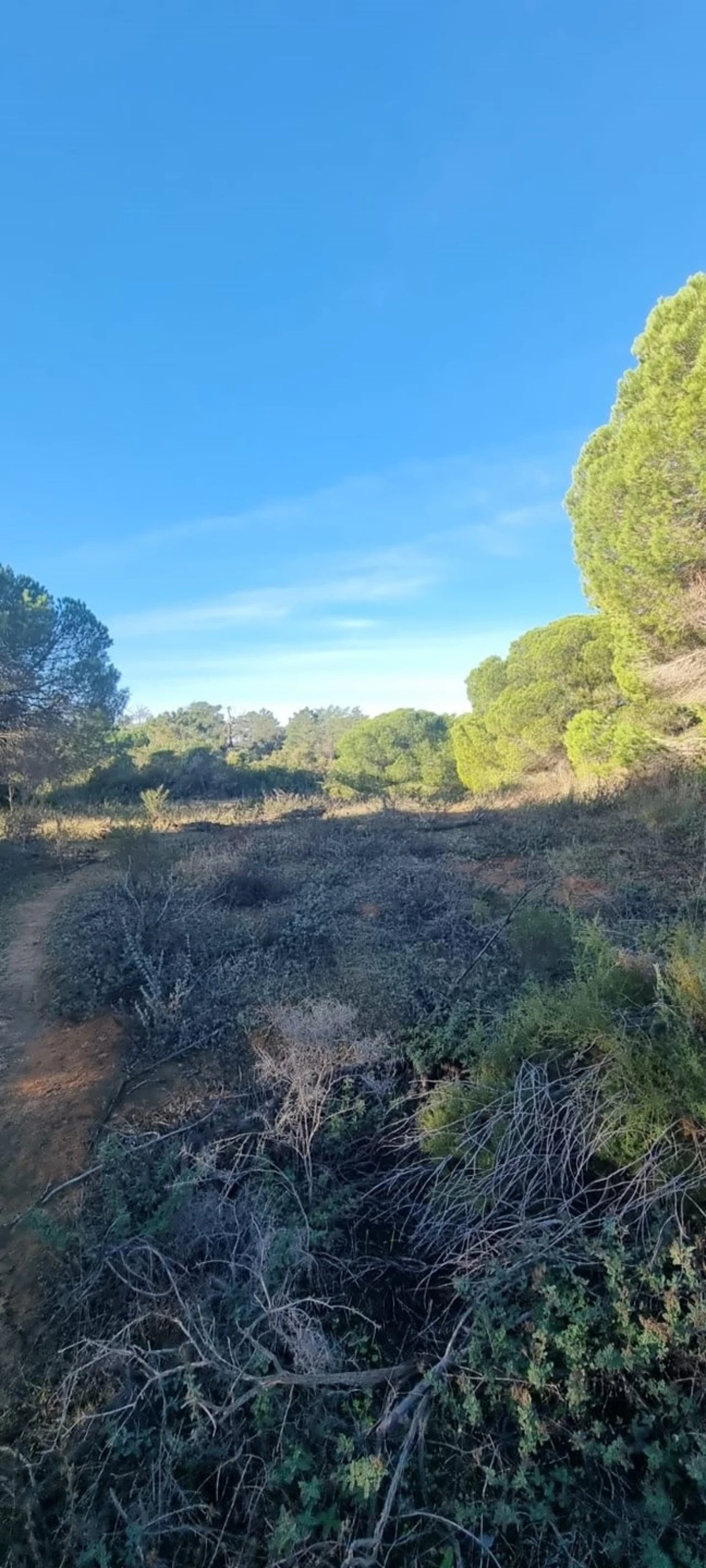 Apartamento para Venda em Silves Foto 2