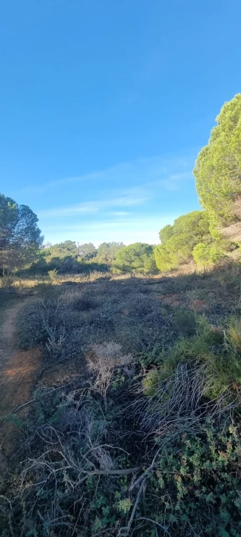 Apartamento para Venda em Silves