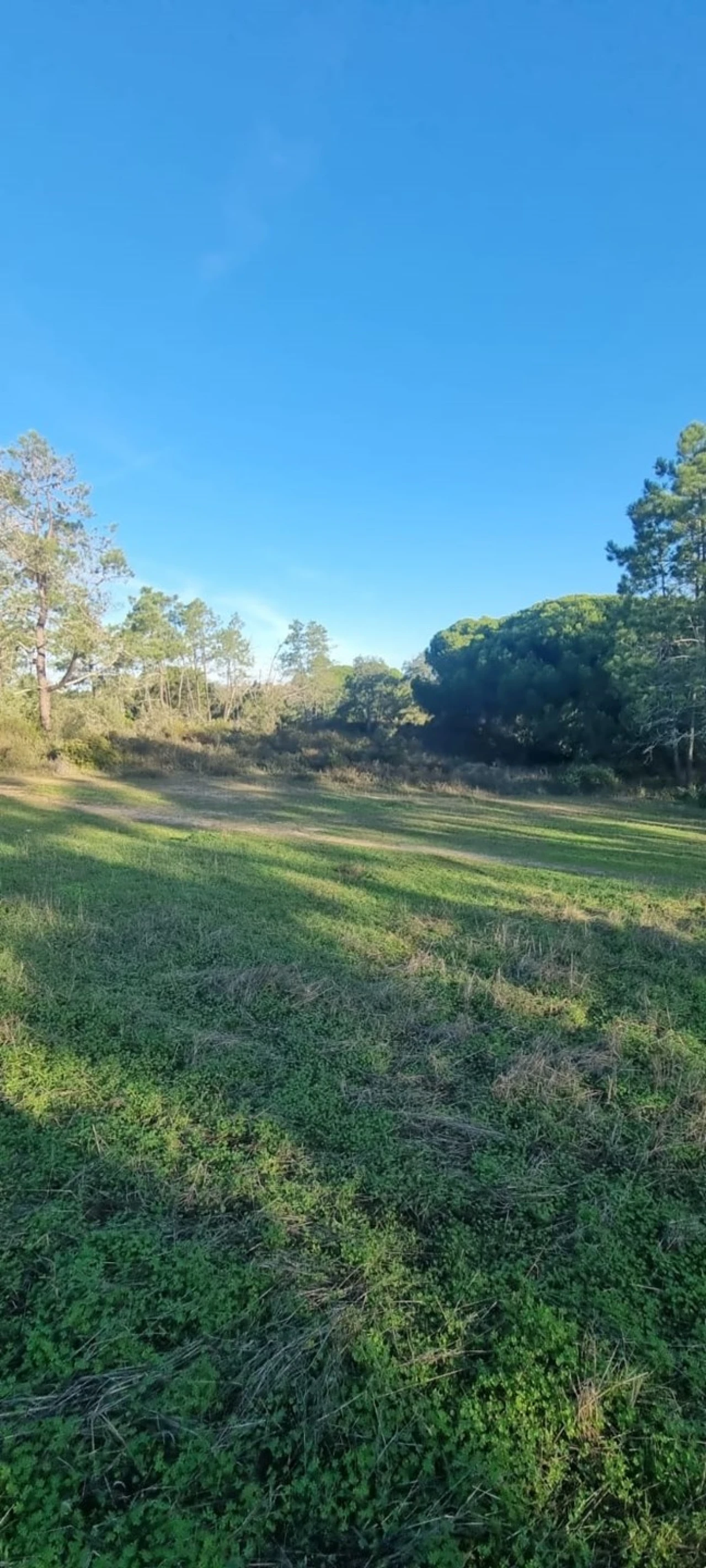 Apartamento para Venda em Silves Foto 4