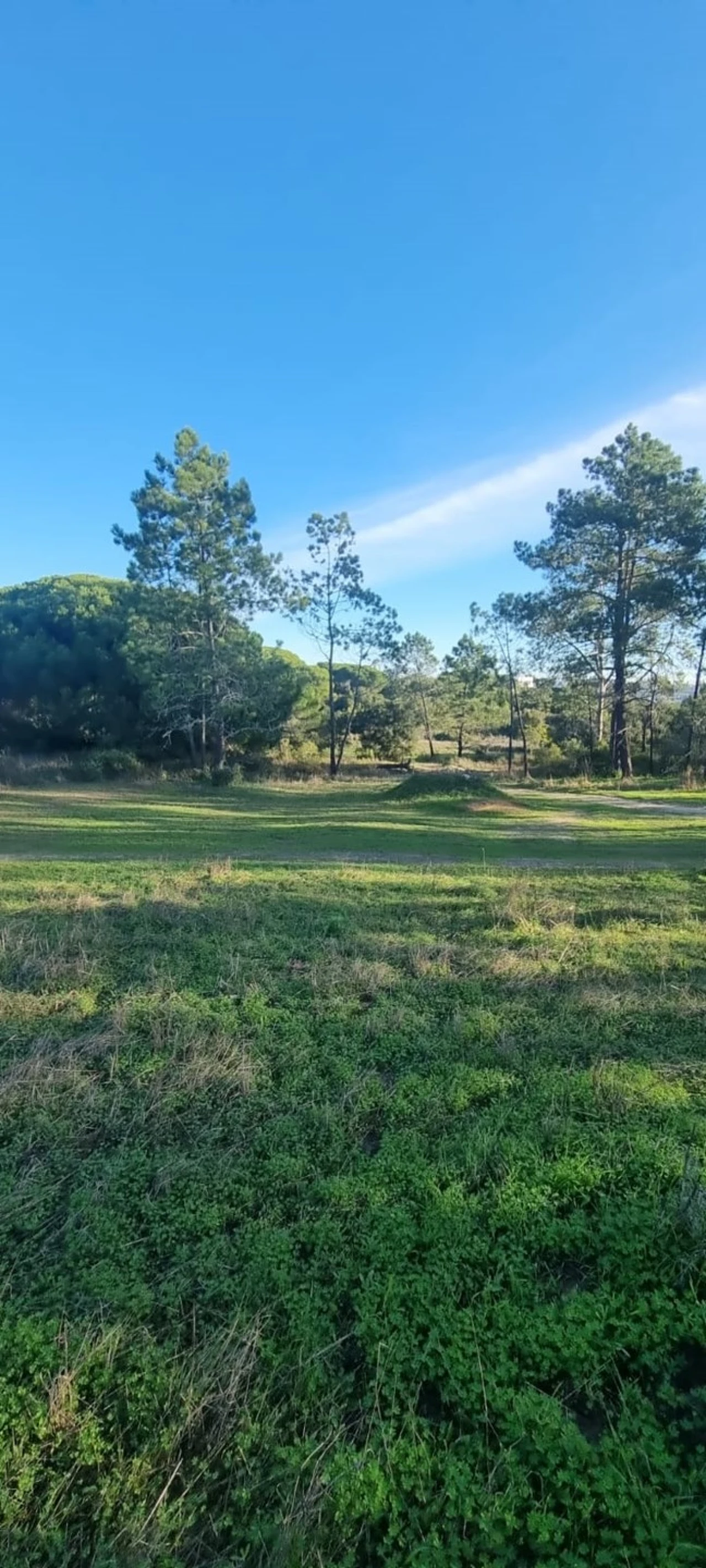 Apartamento para Venda em Silves Foto 1
