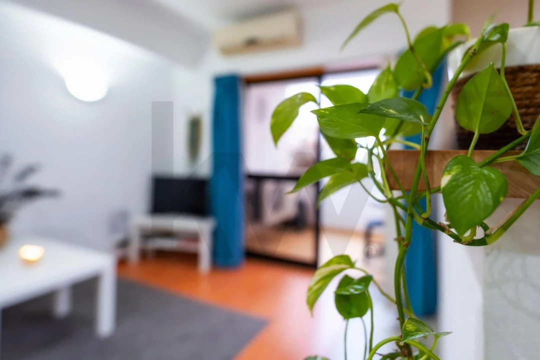 Apartamento T1 para Venda em Albufeira e Olhos de Água Foto 14