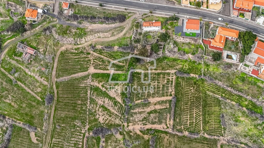 Terreno para Venda em Porto Santo Foto 3