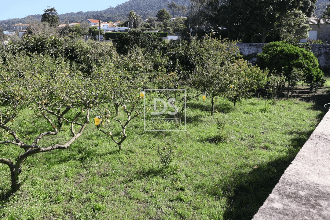 Moradia T3 para Venda em Carreço Foto 6