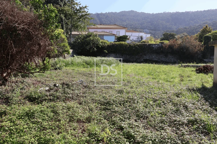 Moradia T3 para Venda em Carreço Foto 5