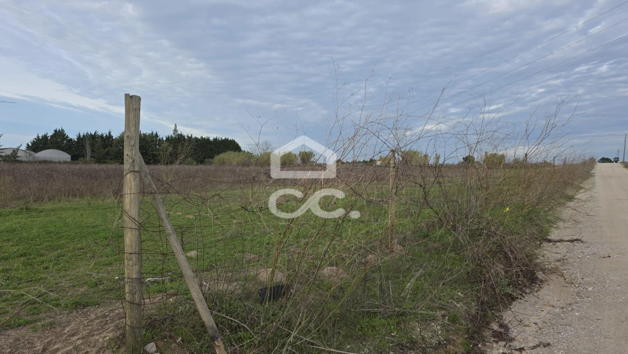 Terreno para Venda em Palmela Foto 5