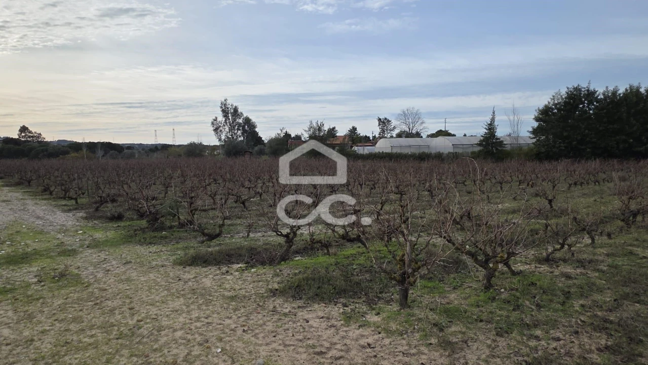 Terreno para Venda em Palmela Foto 6