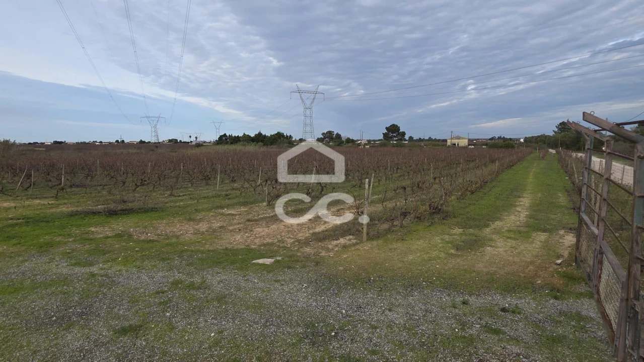 Terreno para Venda em Palmela Foto 8