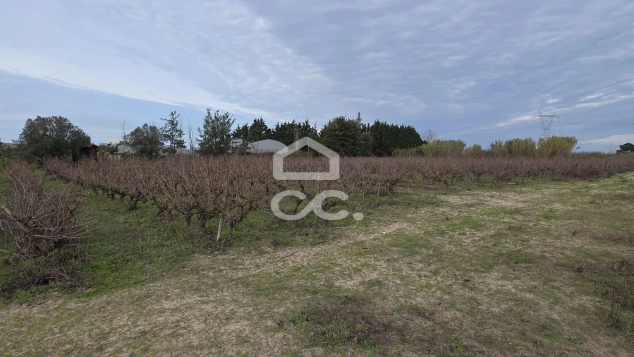 Terreno para Venda em Palmela Foto 9