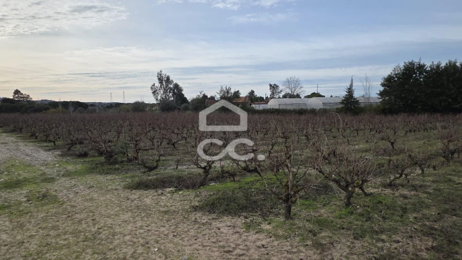 Terreno para Venda em Palmela Foto 6