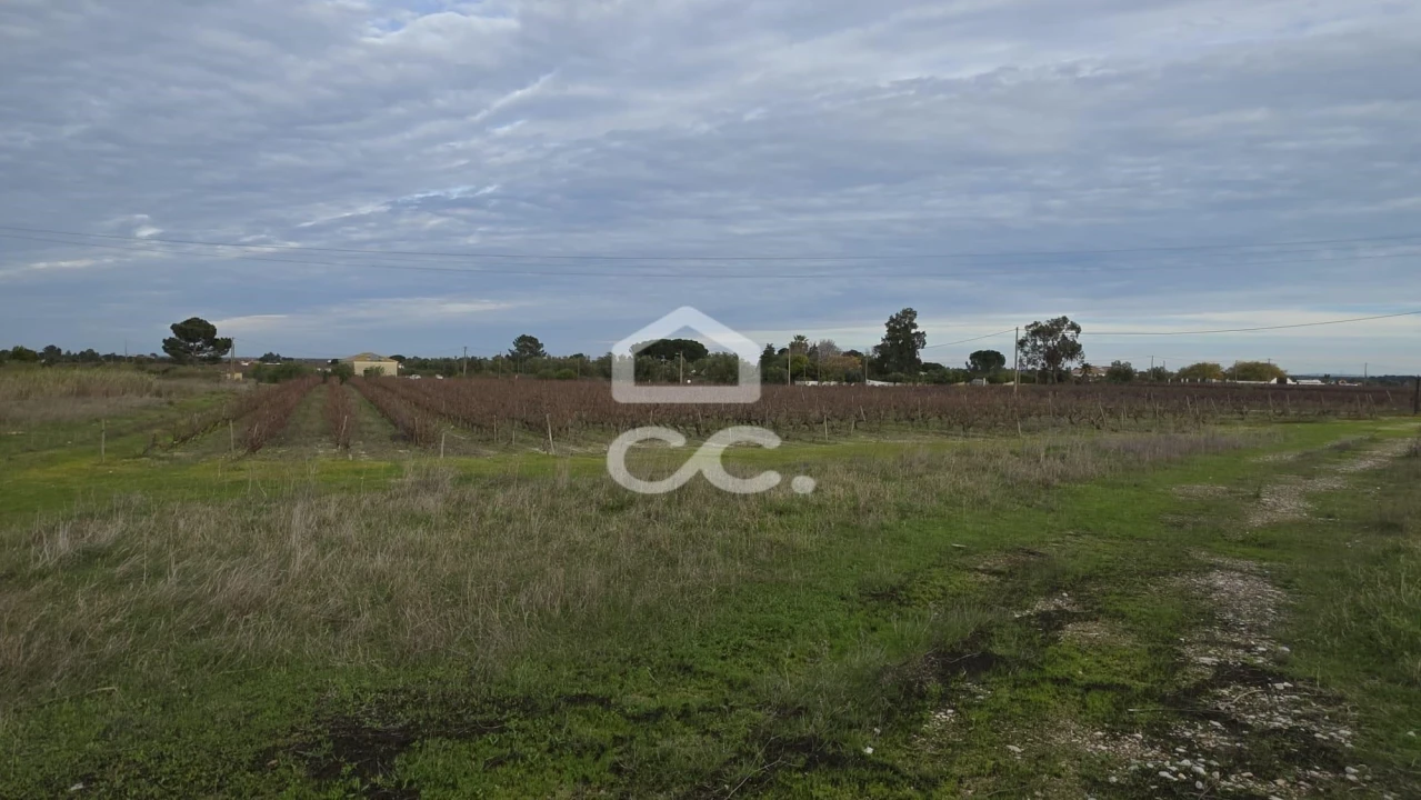 Terreno para Venda em Palmela Foto 7