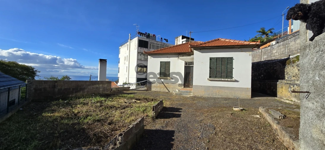 Moradia T3 para Venda em Funchal (Santa Luzia) Foto 17