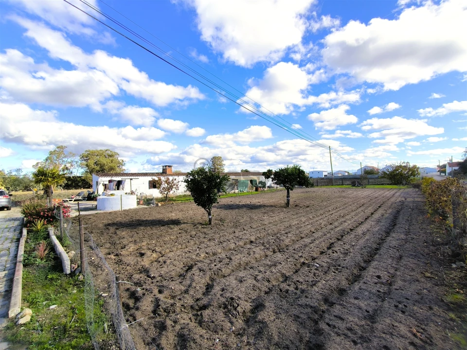 Moradia T3 para Venda em Vale de Santiago Foto 40