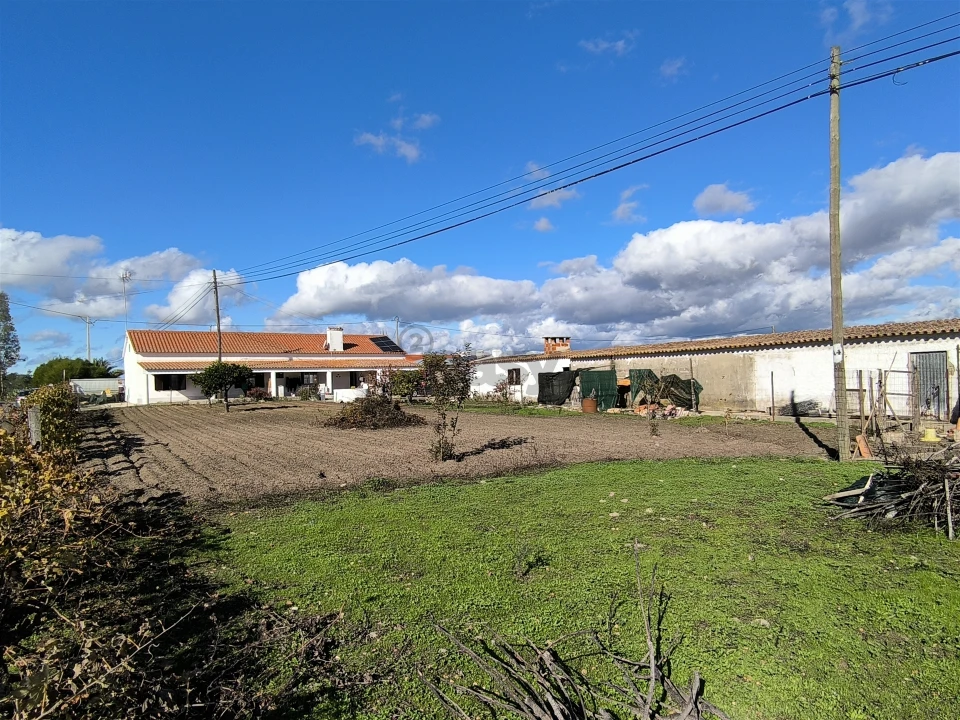 Moradia T3 para Venda em Vale de Santiago Foto 42