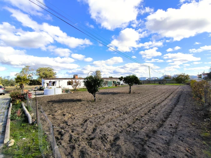 Moradia T3 para Venda em Vale de Santiago Foto 40