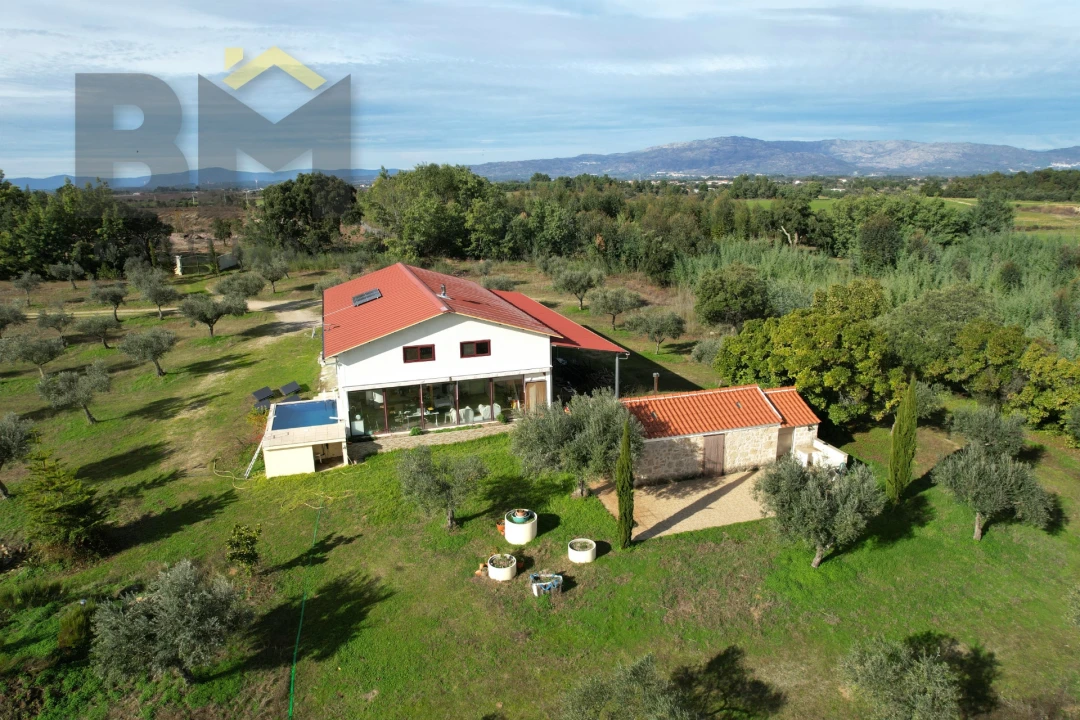 Quinta T0 para Venda em Lardosa Foto 49