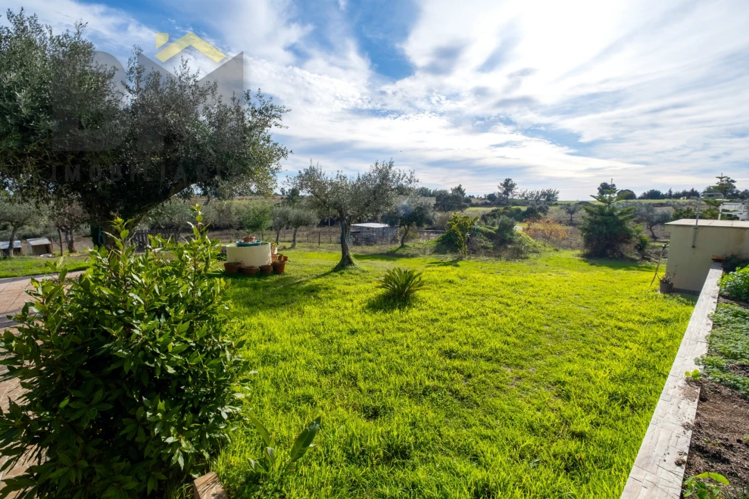 Quinta T0 para Venda em Lardosa Foto 35