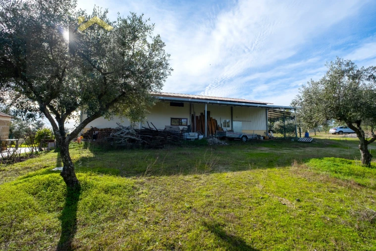 Quinta T0 para Venda em Lardosa Foto 36