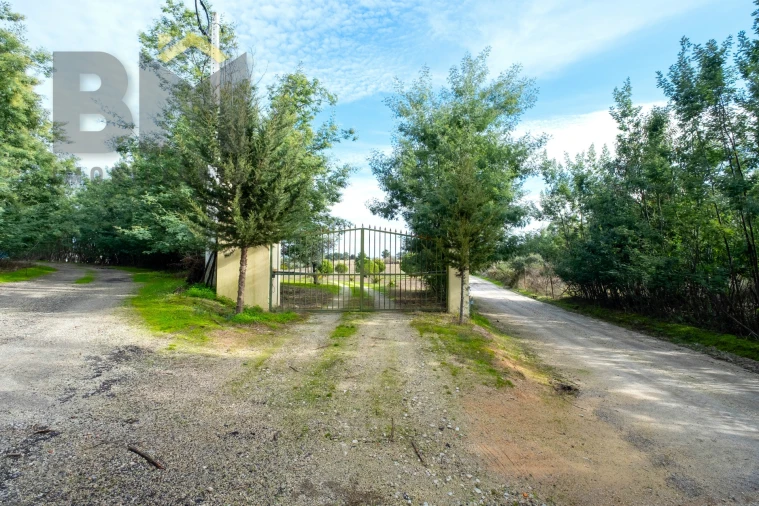 Quinta T0 para Venda em Lardosa Foto 51