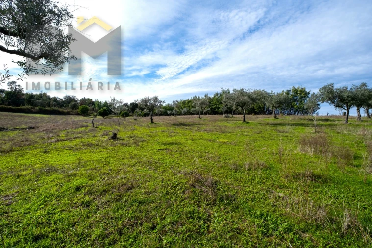 Quinta T0 para Venda em Lardosa Foto 45