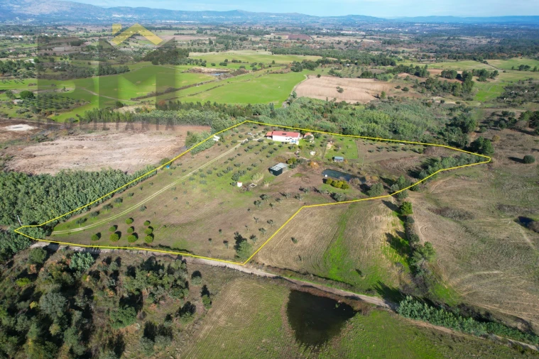 Quinta T0 para Venda em Lardosa Foto 50