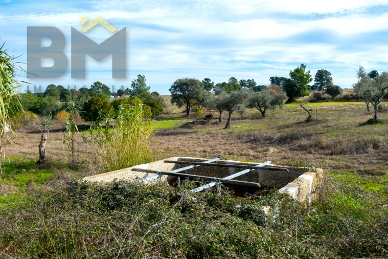 Quinta T0 para Venda em Lardosa Foto 44