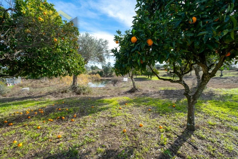 Quinta T0 para Venda em Lardosa Foto 43
