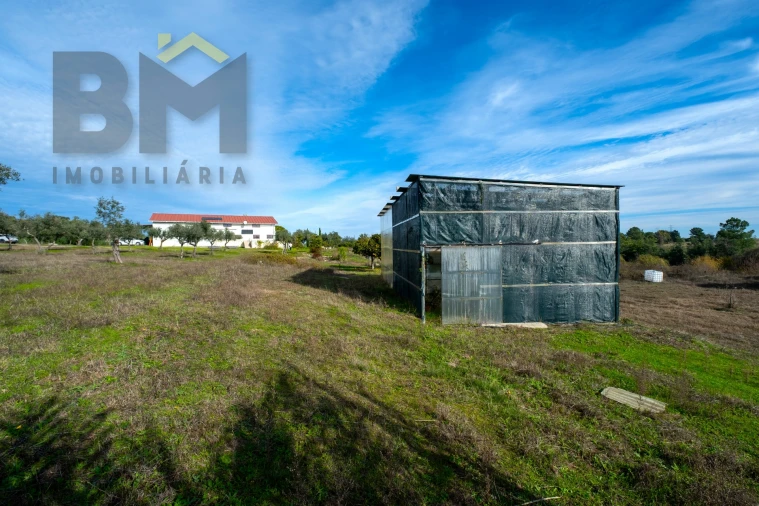 Quinta T0 para Venda em Lardosa Foto 40