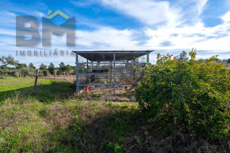 Quinta T0 para Venda em Lardosa Foto 38