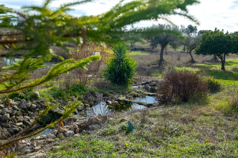 Quinta T0 para Venda em Lardosa Foto 47