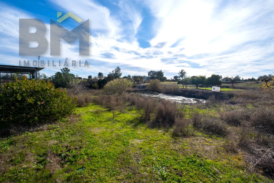 Quinta T0 para Venda em Lardosa Foto 37