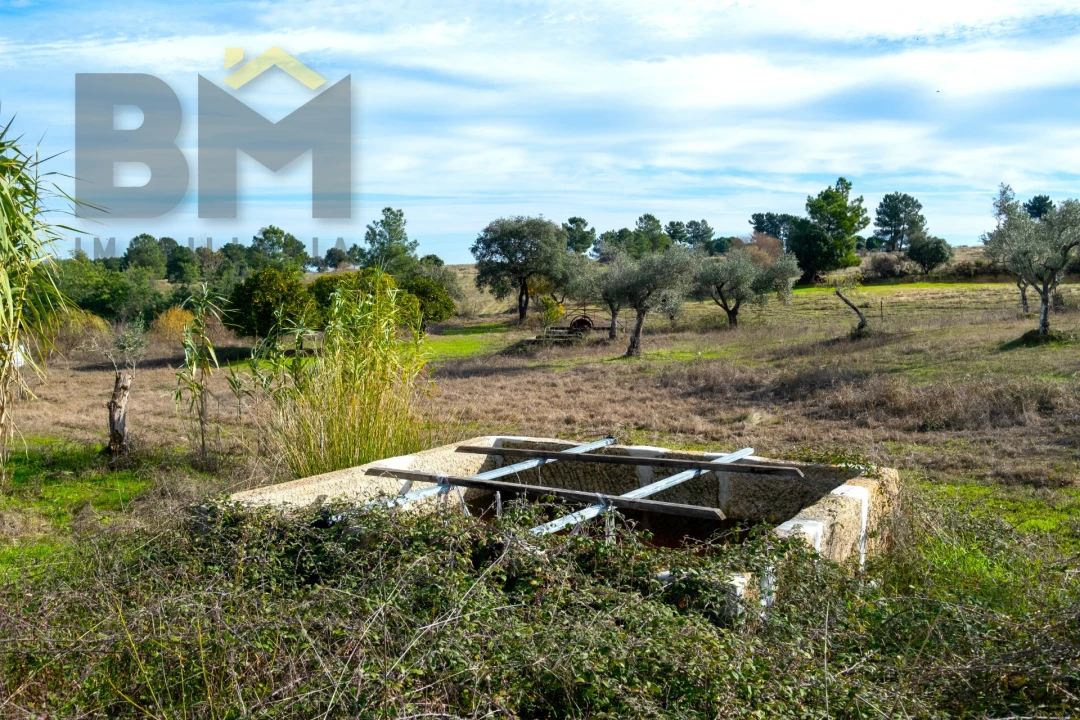 Quinta T0 para Venda em Lardosa Foto 44