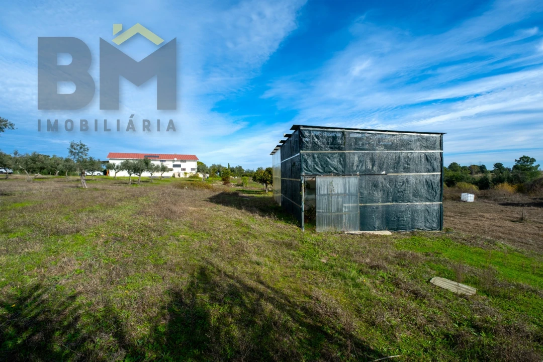 Quinta T0 para Venda em Lardosa Foto 40