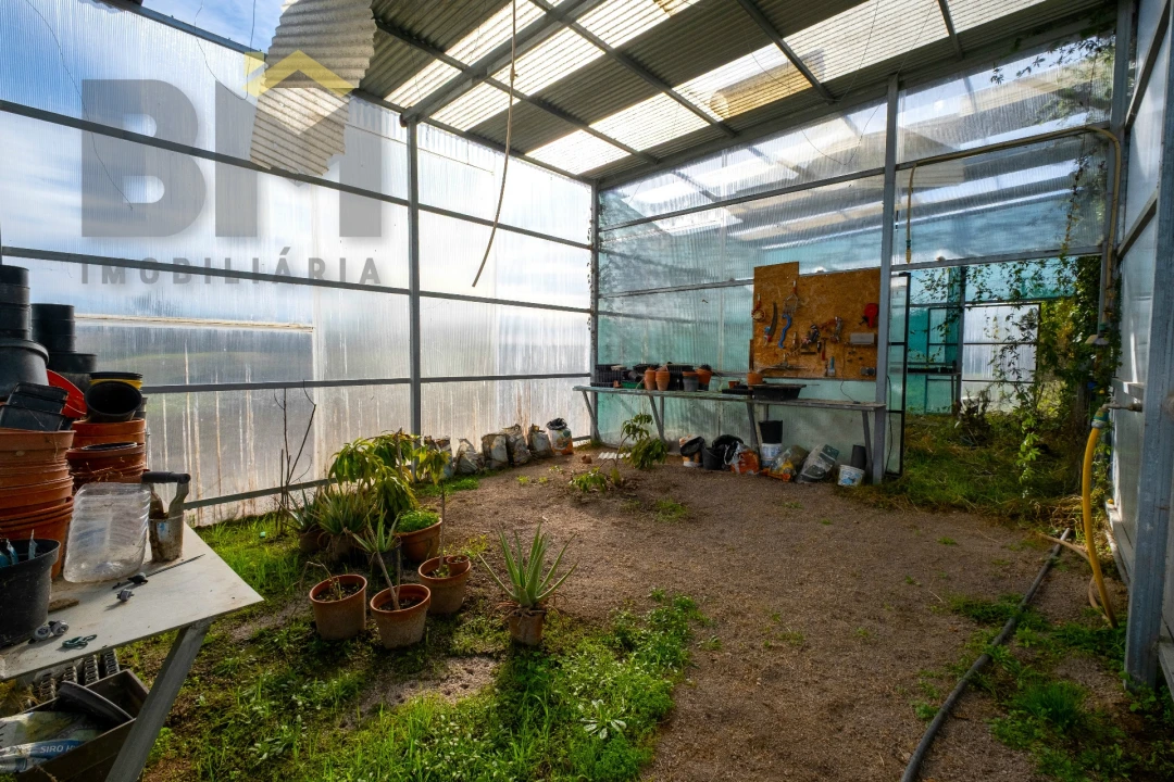 Quinta T0 para Venda em Lardosa Foto 39