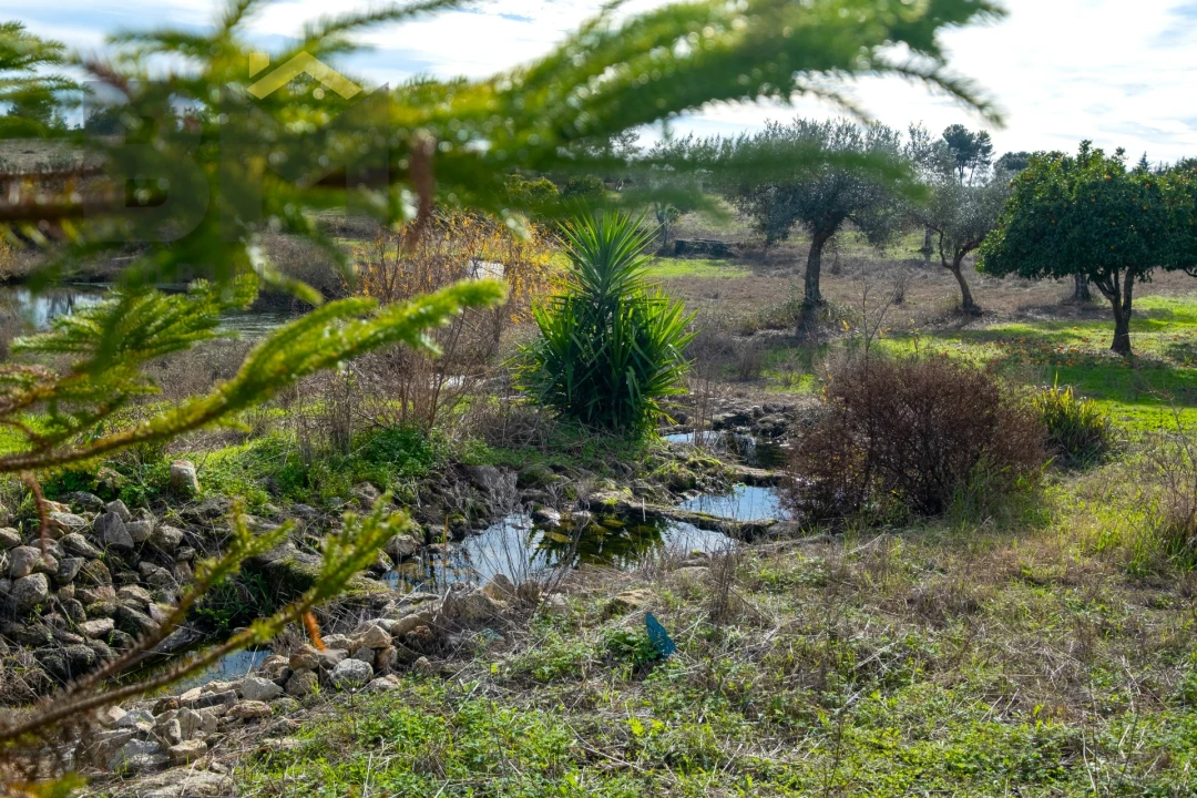 Quinta T0 para Venda em Lardosa Foto 47