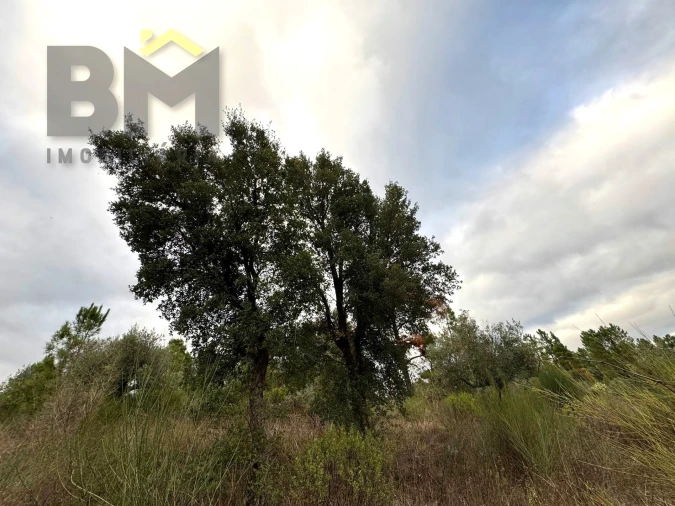 Terreno Agricola ou Rústico para Venda em Salgueiro do Campo Foto 10