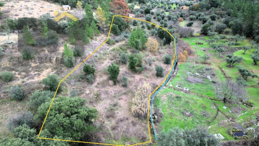 Terreno Agricola ou Rústico para Venda em Salgueiro do Campo Foto 1