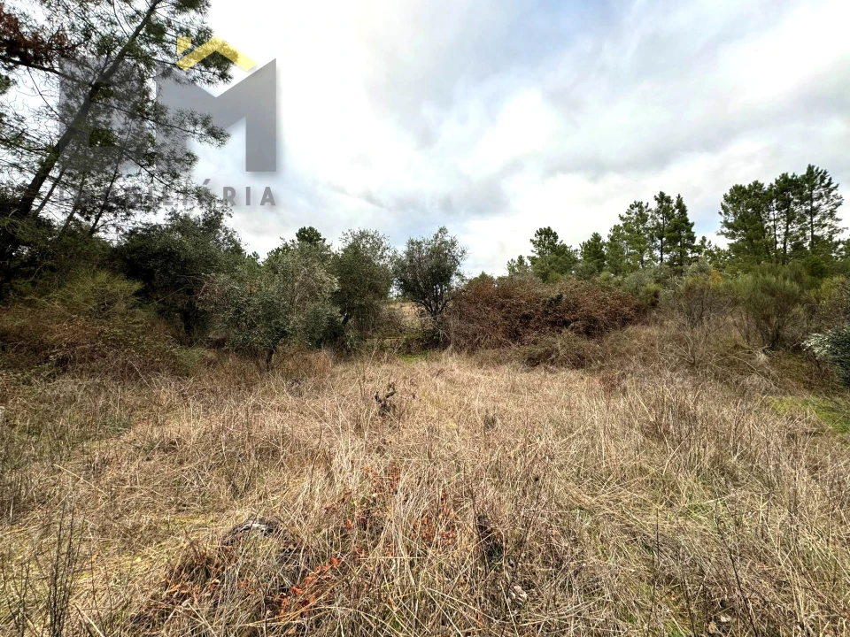 Terreno Agricola ou Rústico para Venda em Salgueiro do Campo Foto 9