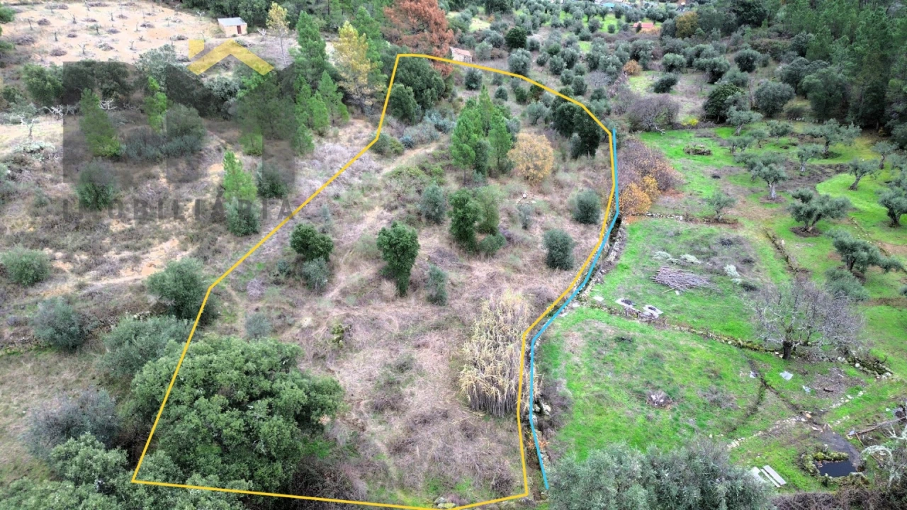 Terreno Agricola ou Rústico para Venda em Salgueiro do Campo Foto 1