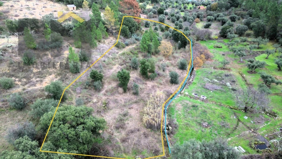 Terreno Agricola ou Rústico para Venda em Salgueiro do Campo