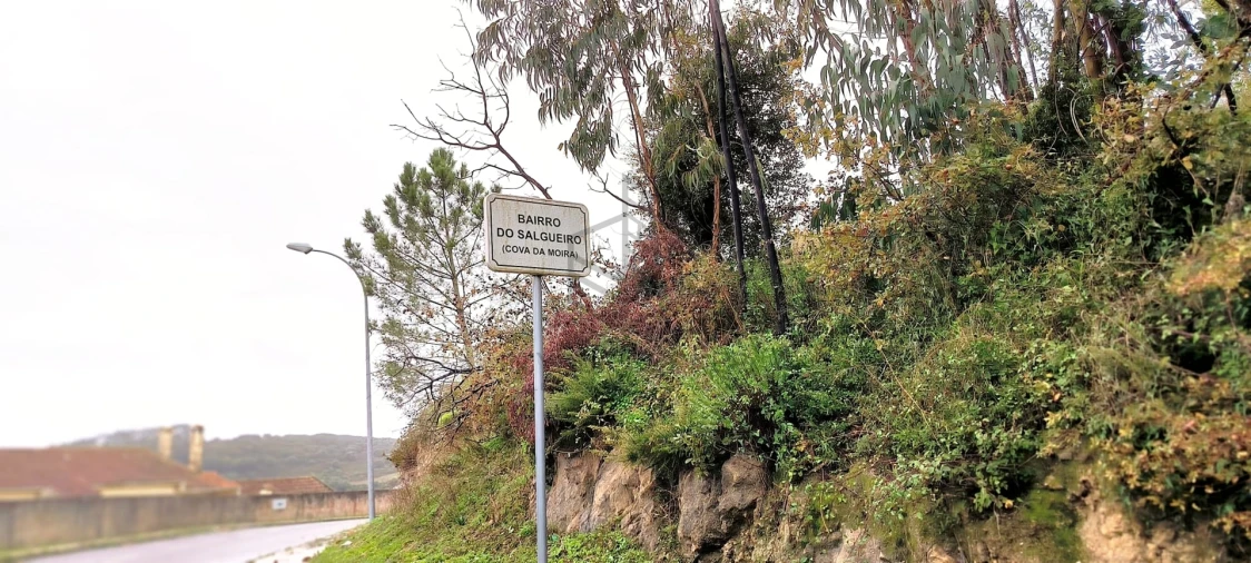 Terreno para Venda em Almargem do Bispo, Pêro Pinheiro e Montelavar Foto 15