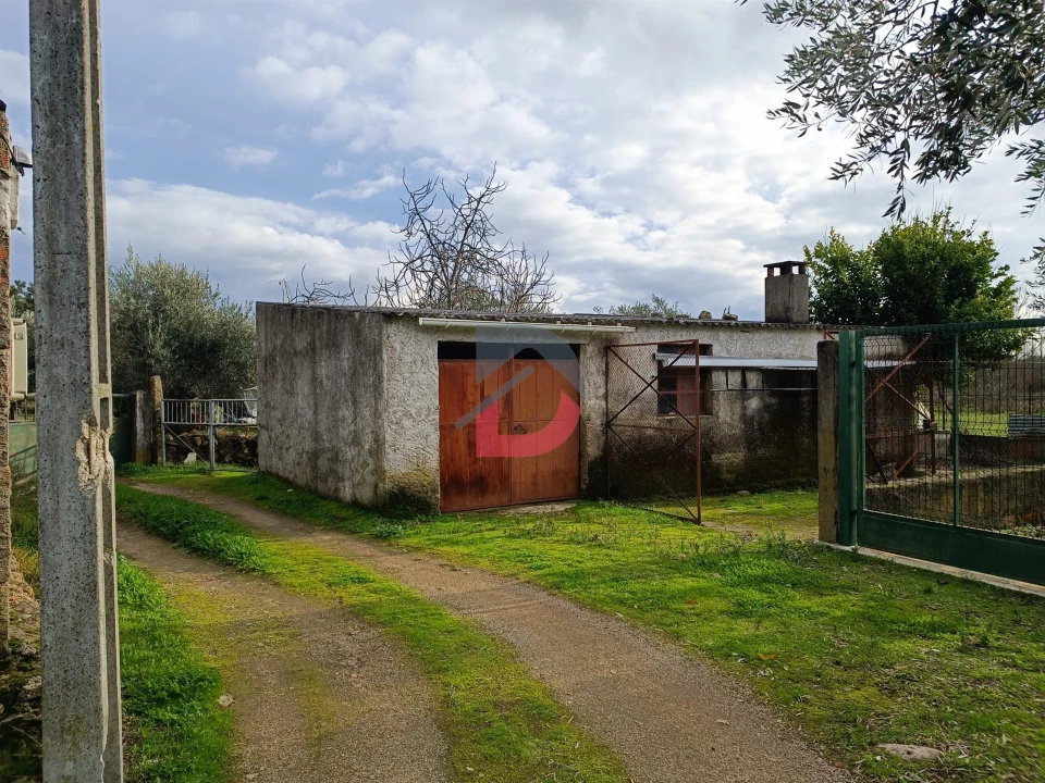 Terreno para Venda em Escalos de Cima e Lousa Foto 2