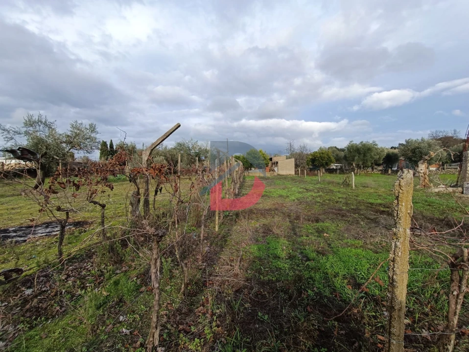 Terreno para Venda em Escalos de Cima e Lousa Foto 29