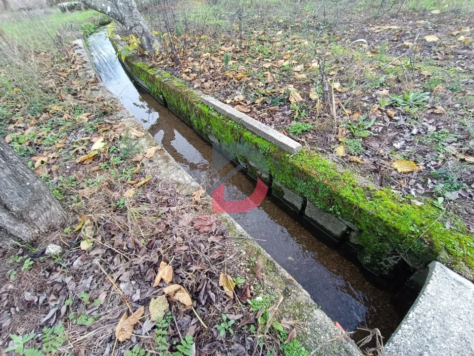 Terreno para Venda em Escalos de Cima e Lousa Foto 20