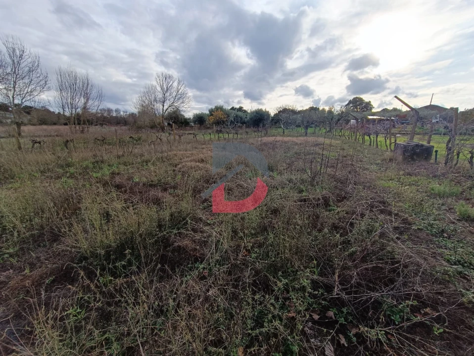 Terreno para Venda em Escalos de Cima e Lousa Foto 25