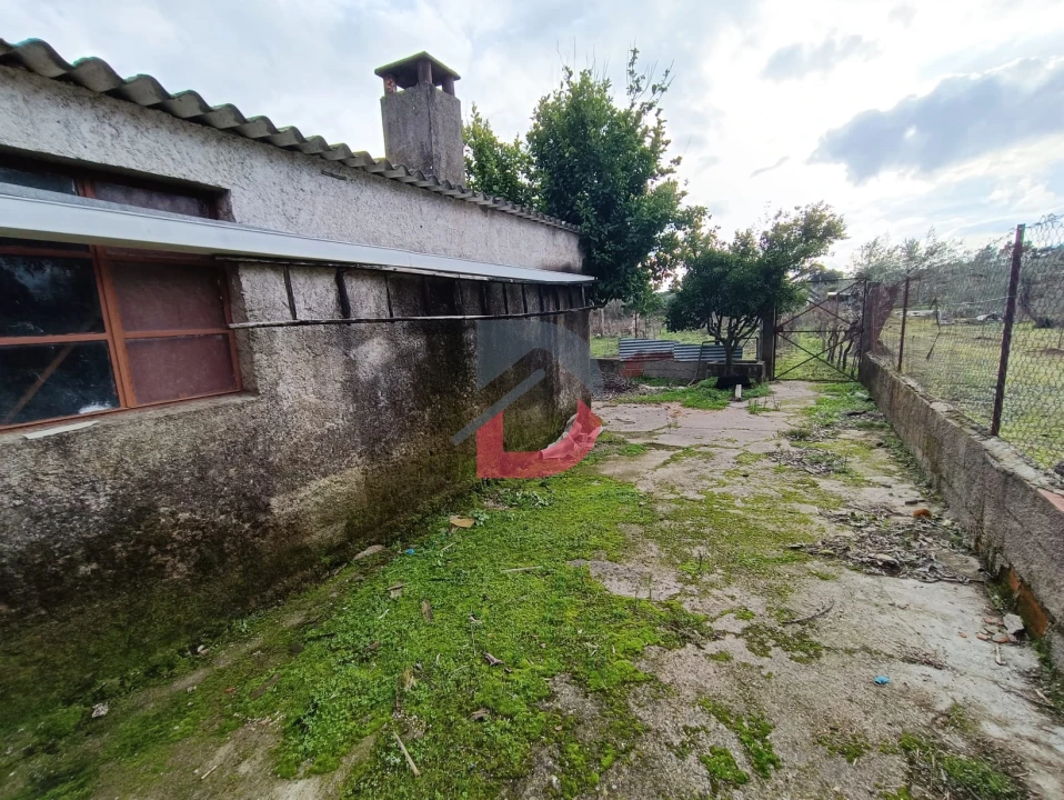 Terreno para Venda em Escalos de Cima e Lousa Foto 4