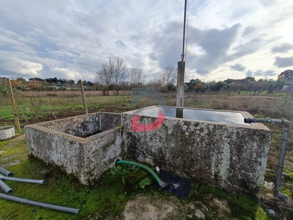 Terreno para Venda em Escalos de Cima e Lousa Foto 27