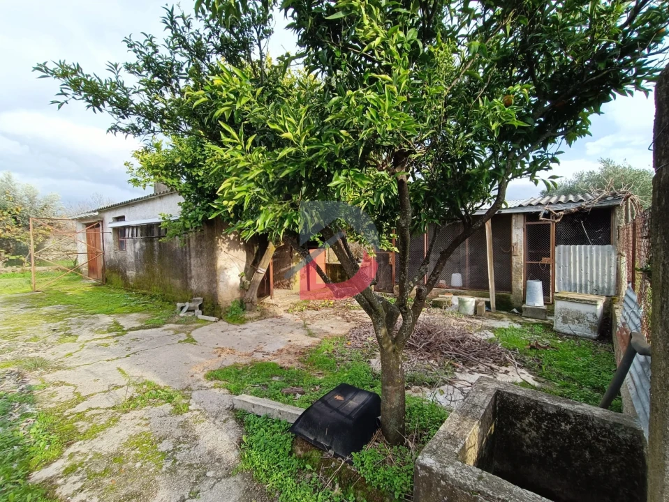 Terreno para Venda em Escalos de Cima e Lousa Foto 10