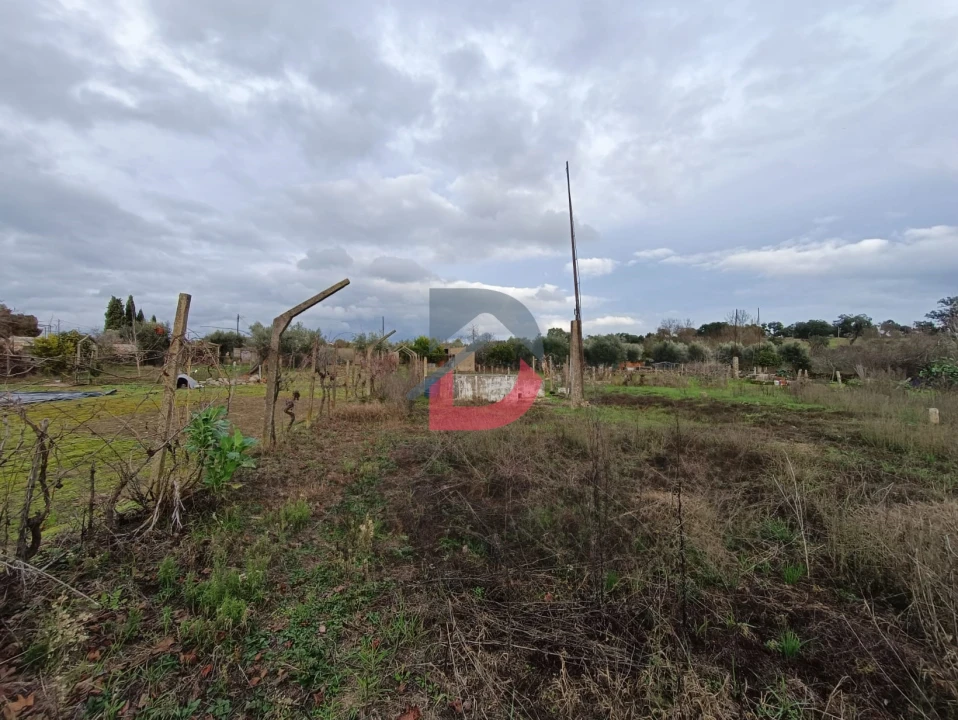 Terreno para Venda em Escalos de Cima e Lousa Foto 24