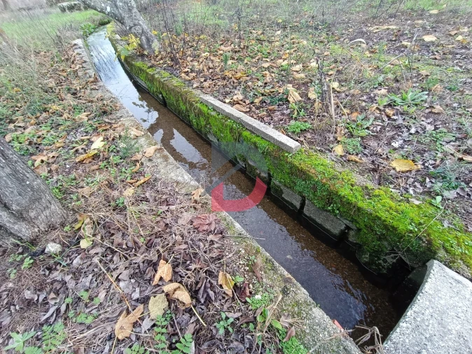 Terreno para Venda em Escalos de Cima e Lousa Foto 20