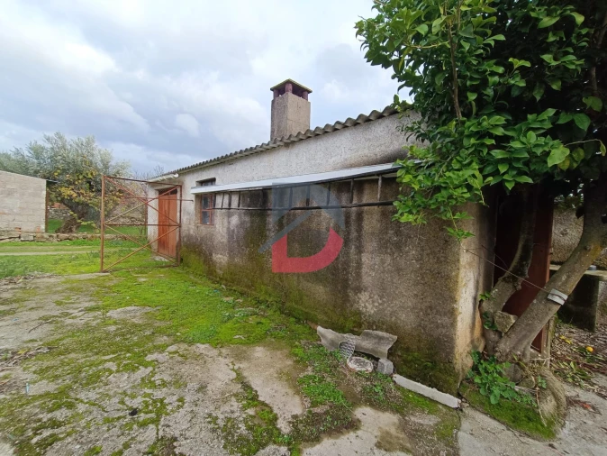 Terreno para Venda em Escalos de Cima e Lousa Foto 3